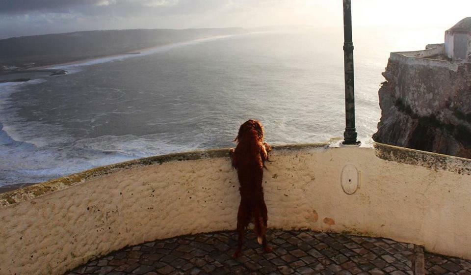 Villa Nazare - The Little Star Exterior foto